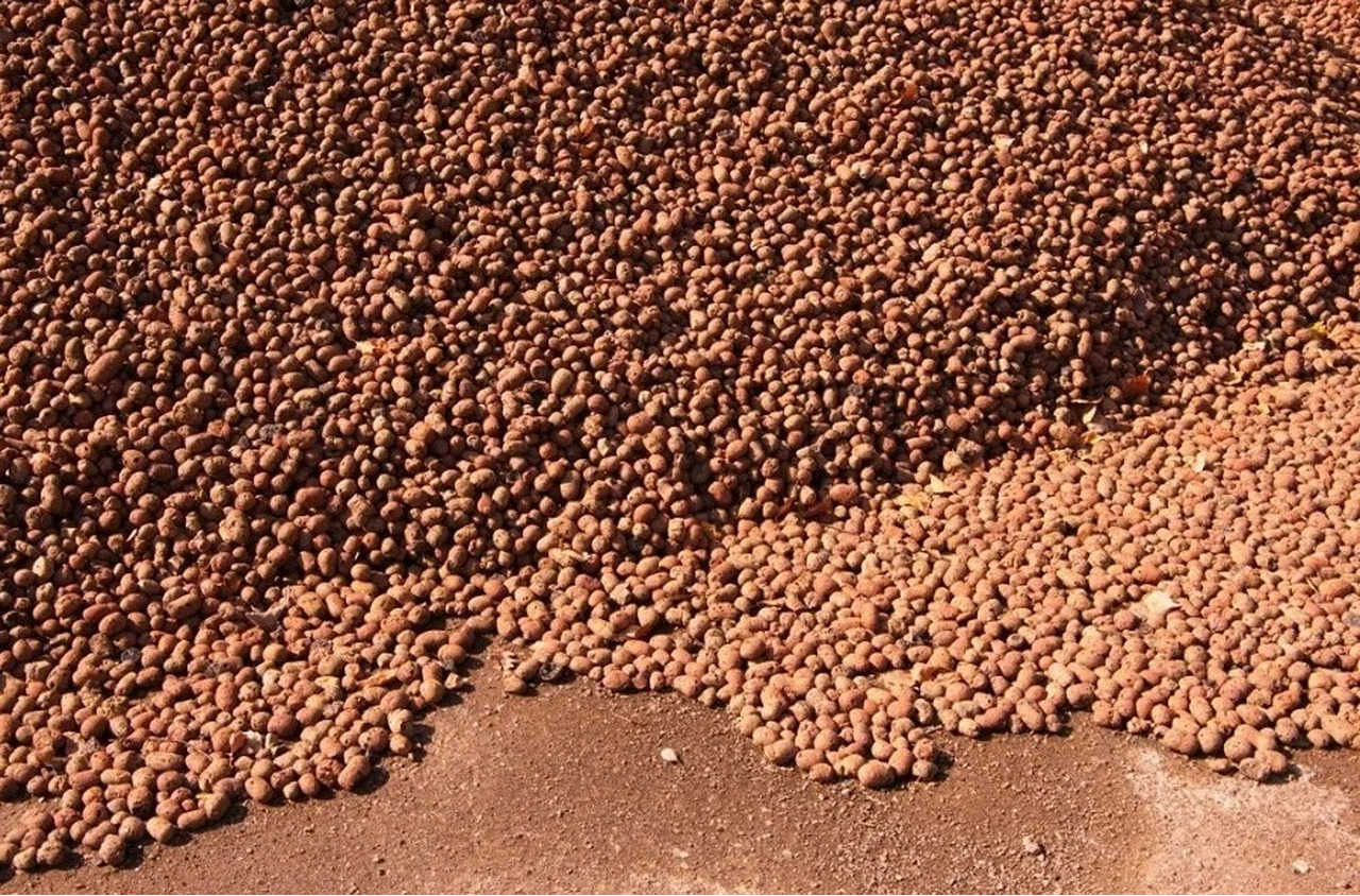 Керамзит различной фракции - Фото 2