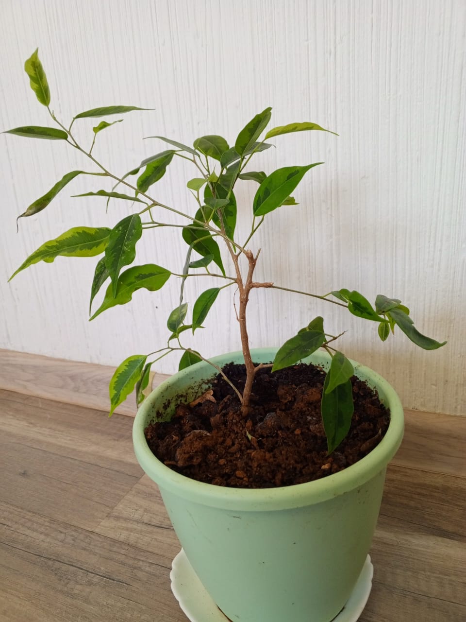 Продам умывальник "Тюльпан" - Фото 9