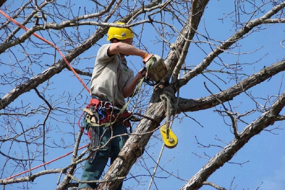 Продам велосипед Аист