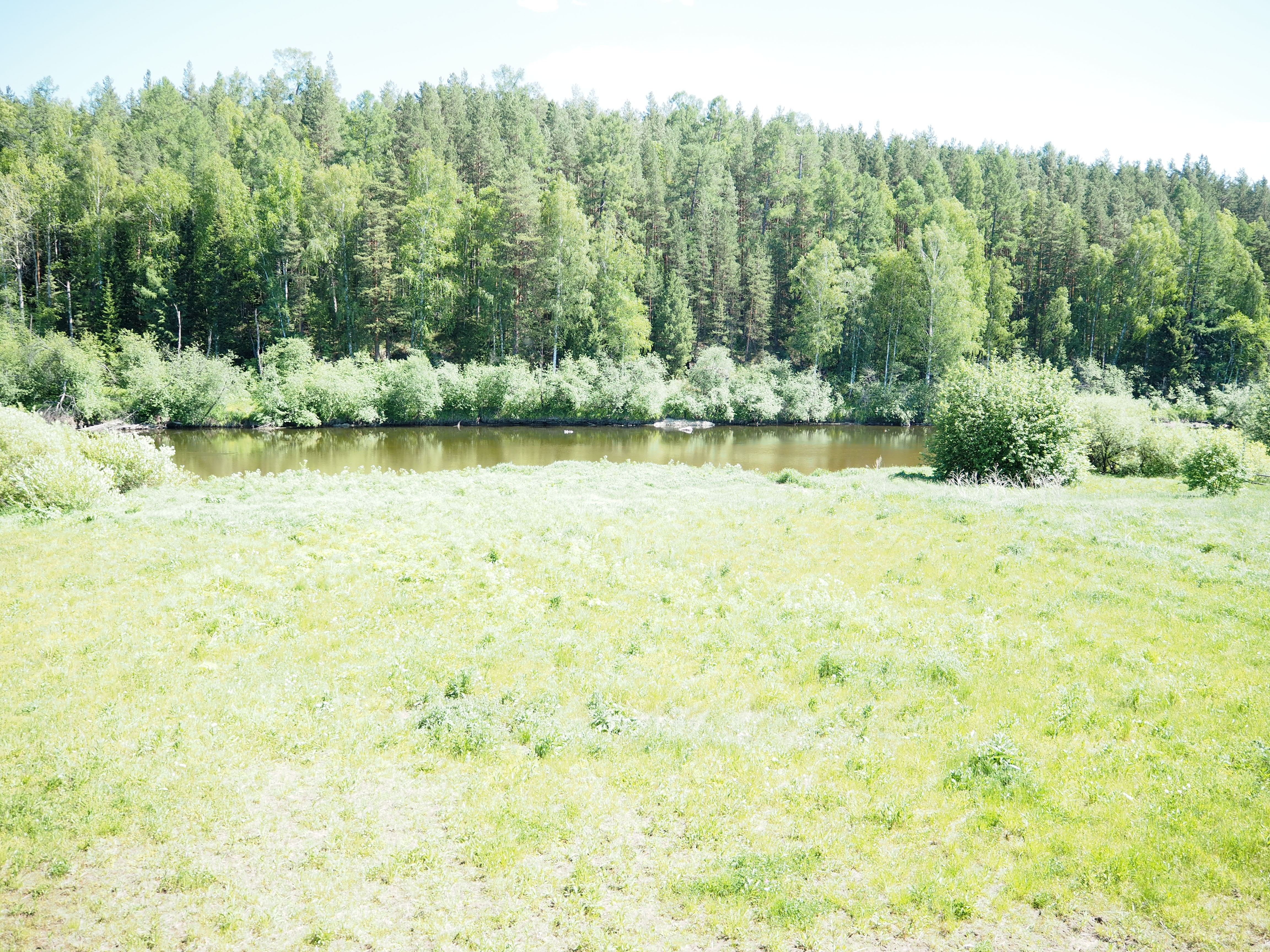 Студия улучшенной планировки - Фото 3