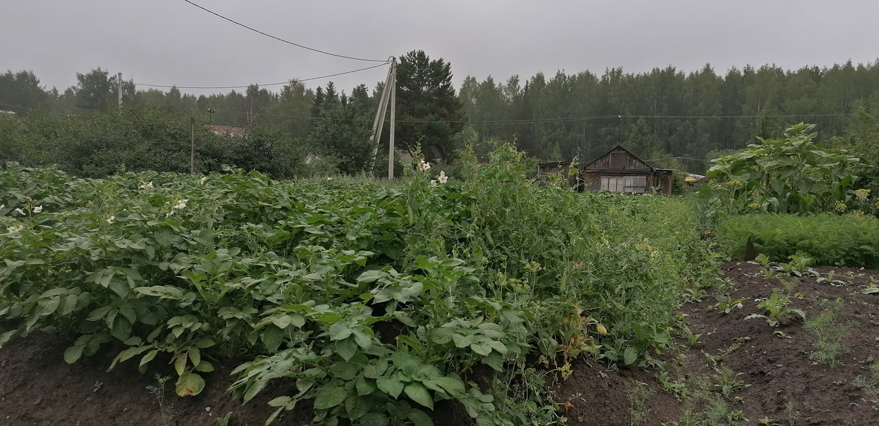 Продам земельный участок 6 соток