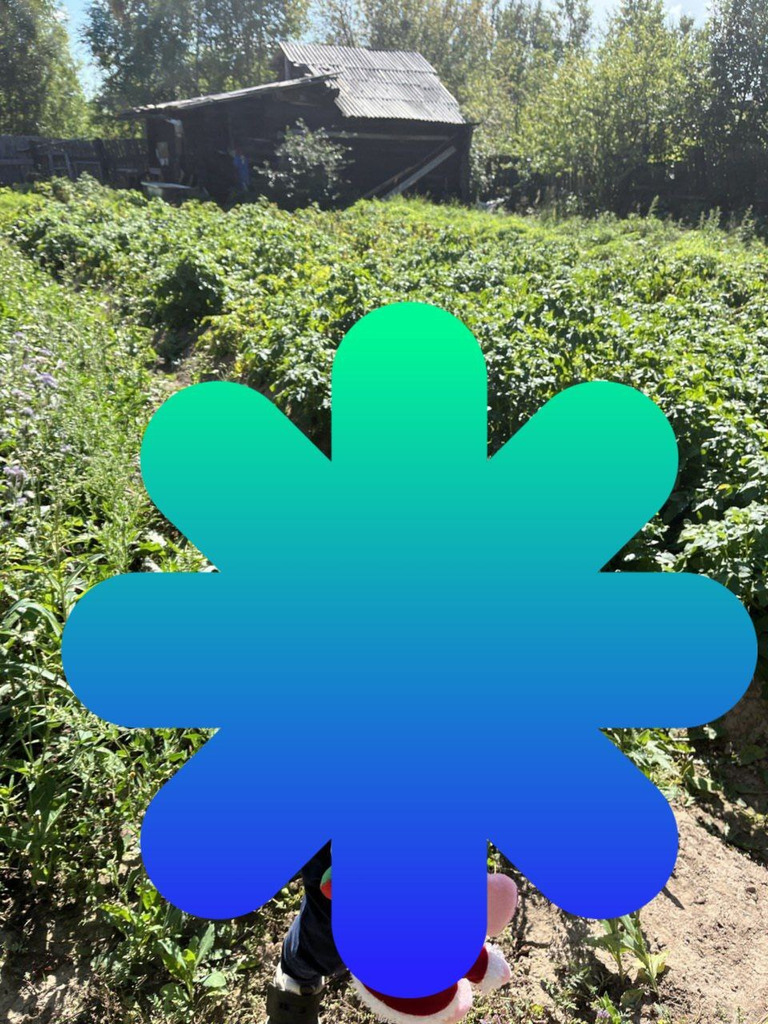 Продам огород