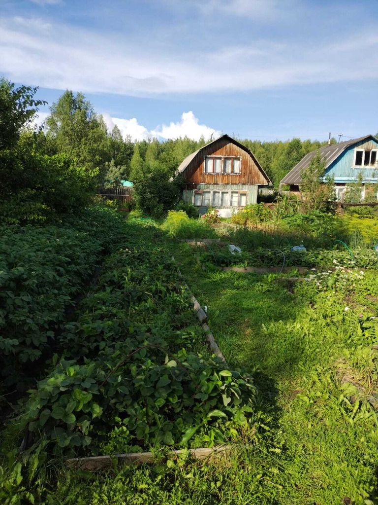 Садовый участок