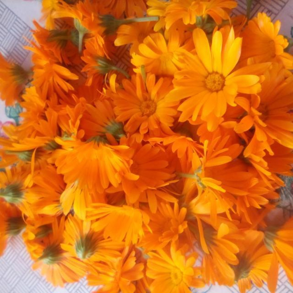 Продается садовый участок