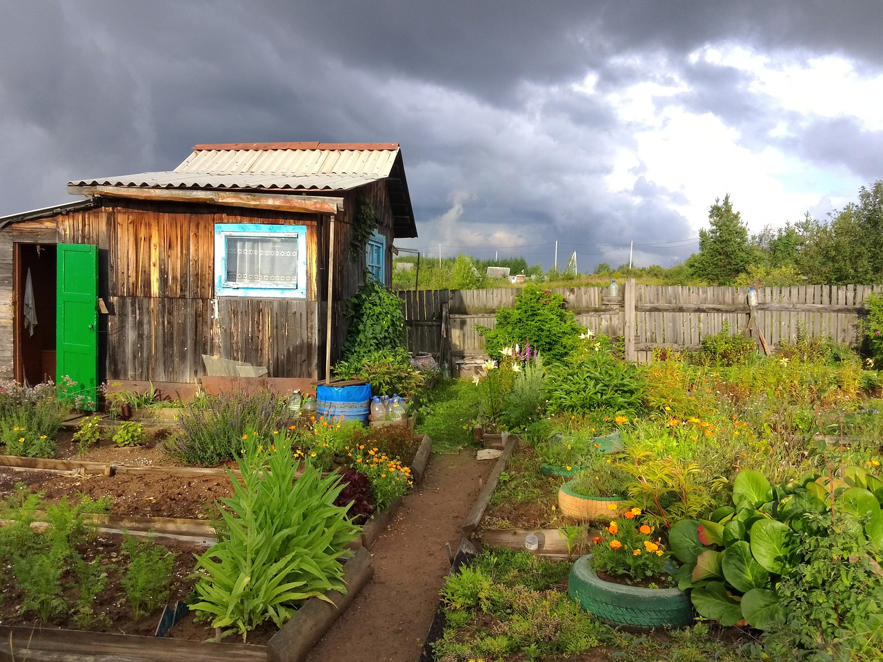 Продаётся сад