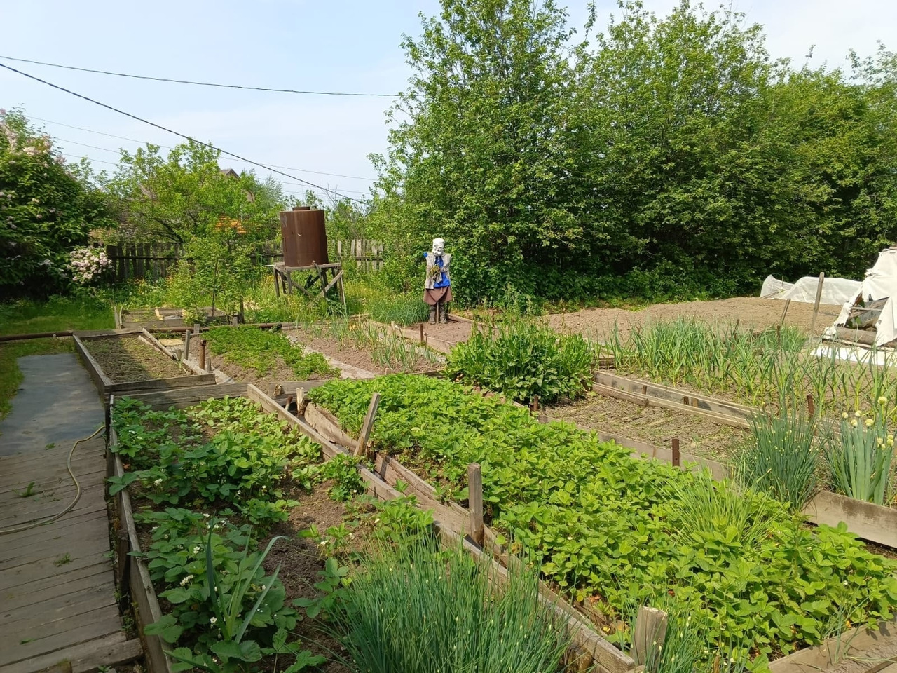 Продаётся дом и земельный участок