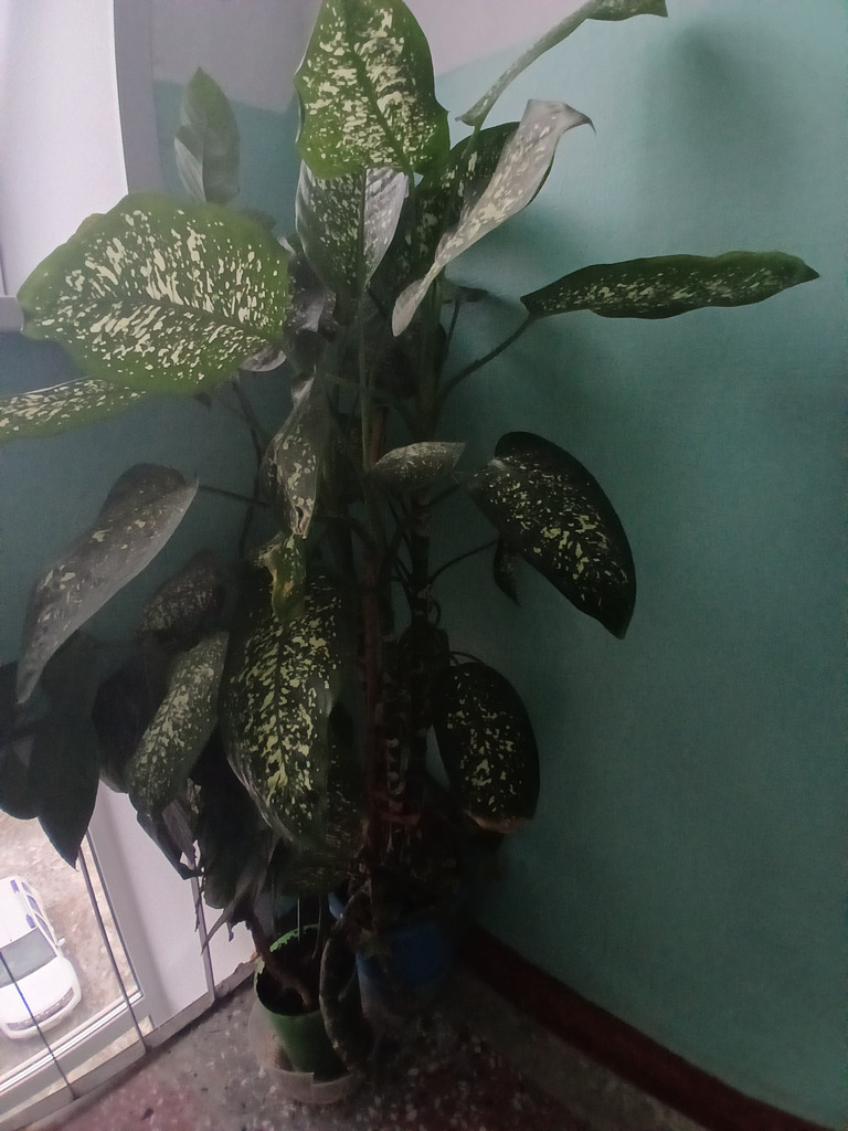 Разное - Фото 1