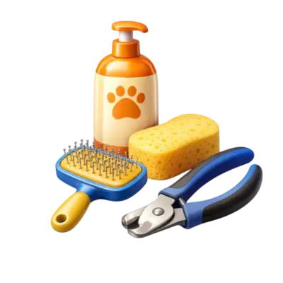 Услуги для животных